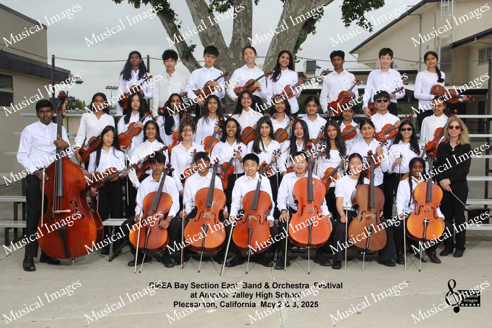 Musical Images